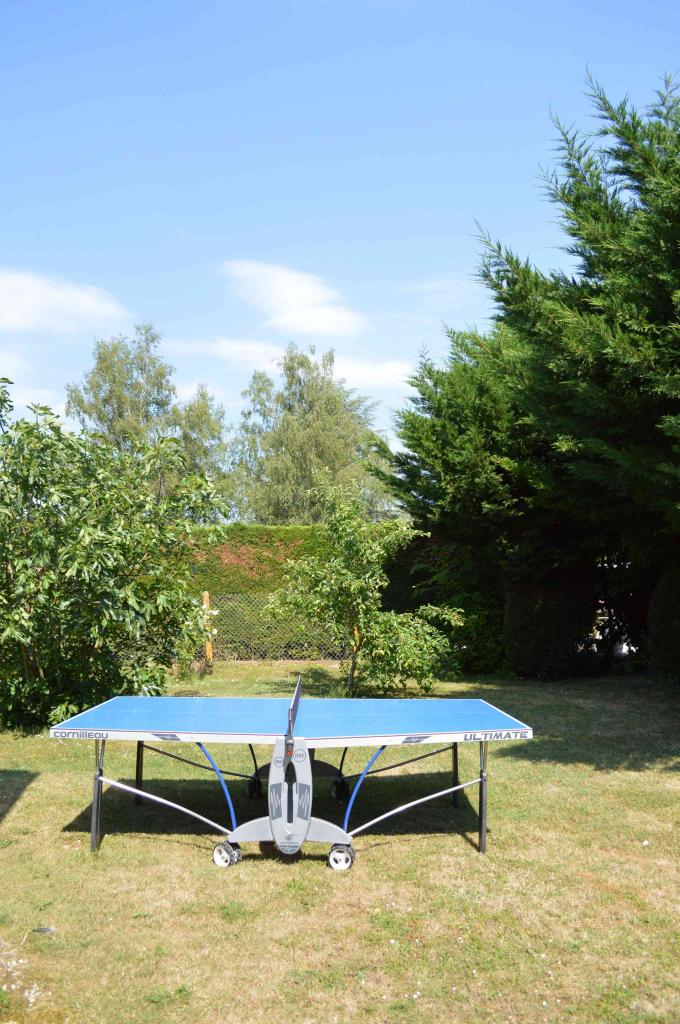 Table de ping pong